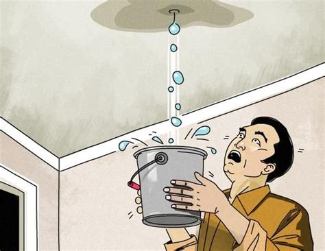 roof leaking dream|What Does It Mean to Dream About a Leaking Roof and How It。